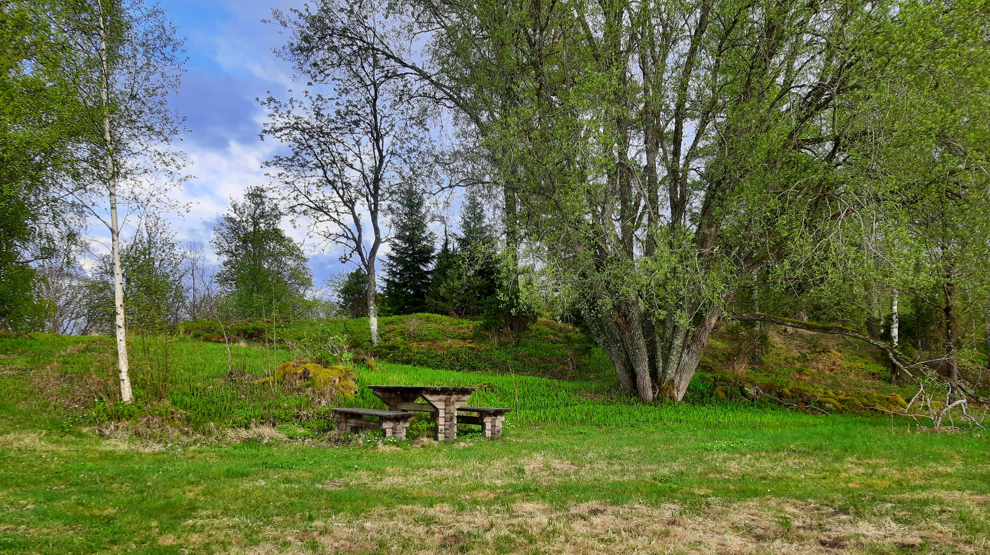 Ett bord med sittplatser står i naturen omgiven av grönska.