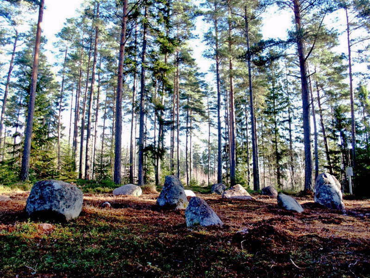 Domarringarna