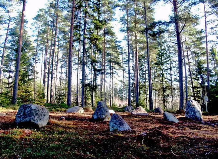 Domarringarna