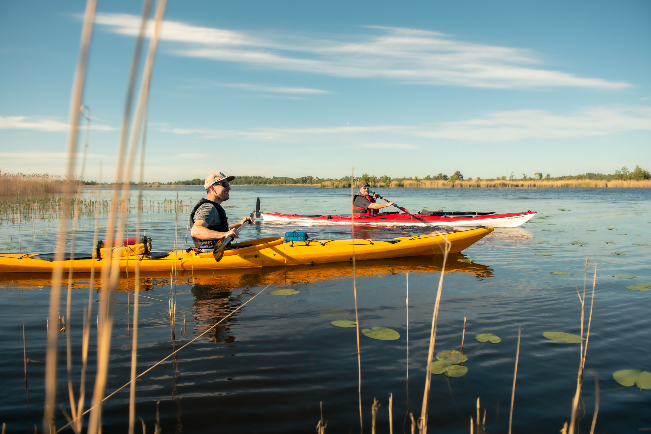 Två personer paddlar kajak på en sjö. 