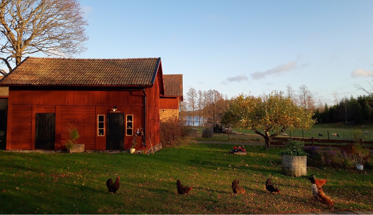 Kronkärrs Fårgård