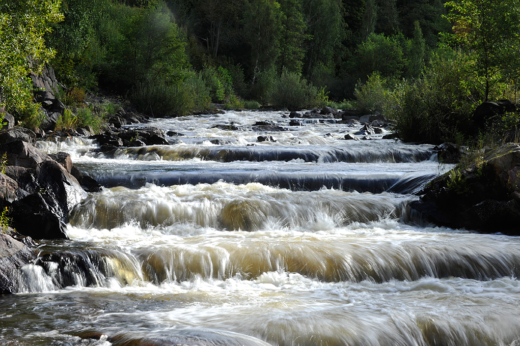 Laxtrappa på sommaren