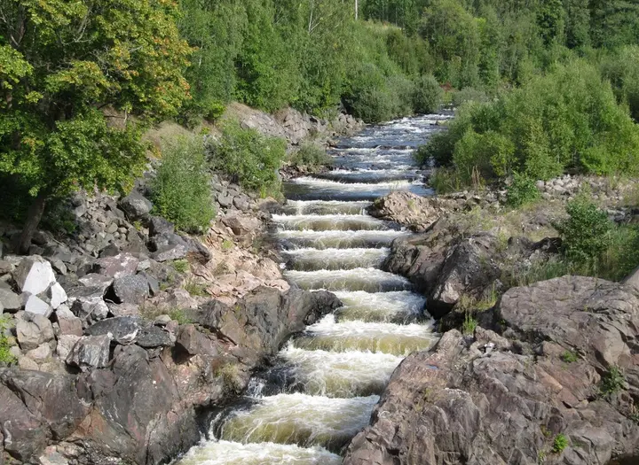 Laxtrappan i Gullspångsälven