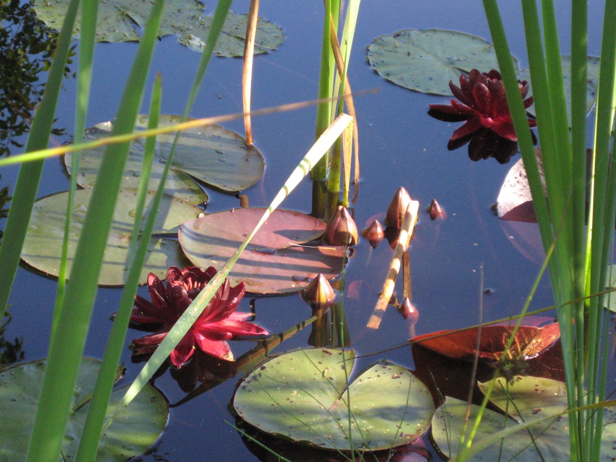 Södra Torp loppis & antikbod
