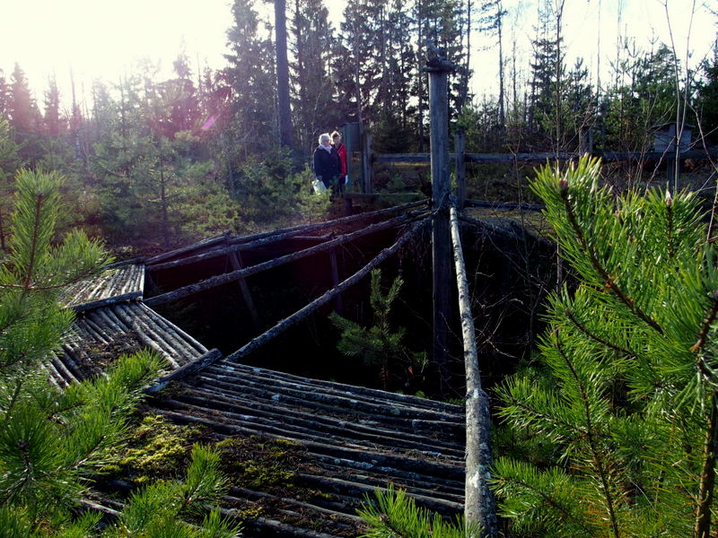 Varggropen på Värpemon