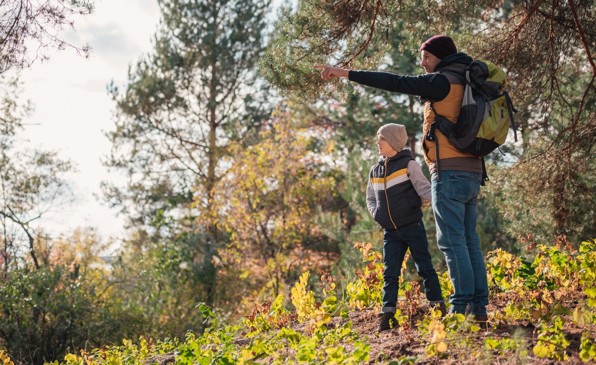 Far och son vandrar i skogen