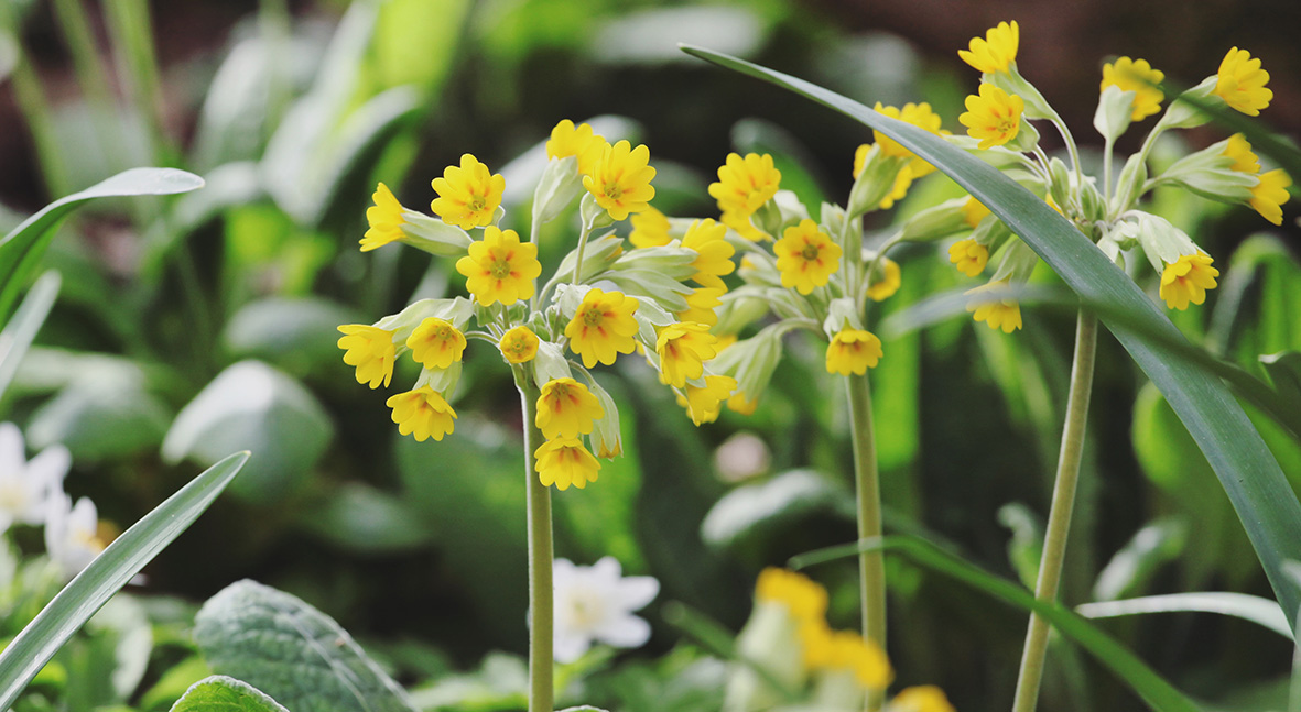 Återbruksrunda & Inspirationsdag