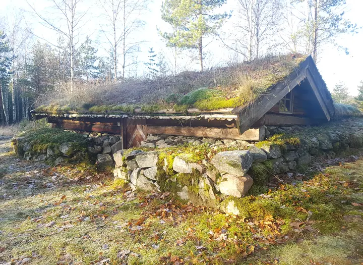 Fogels Jordkula