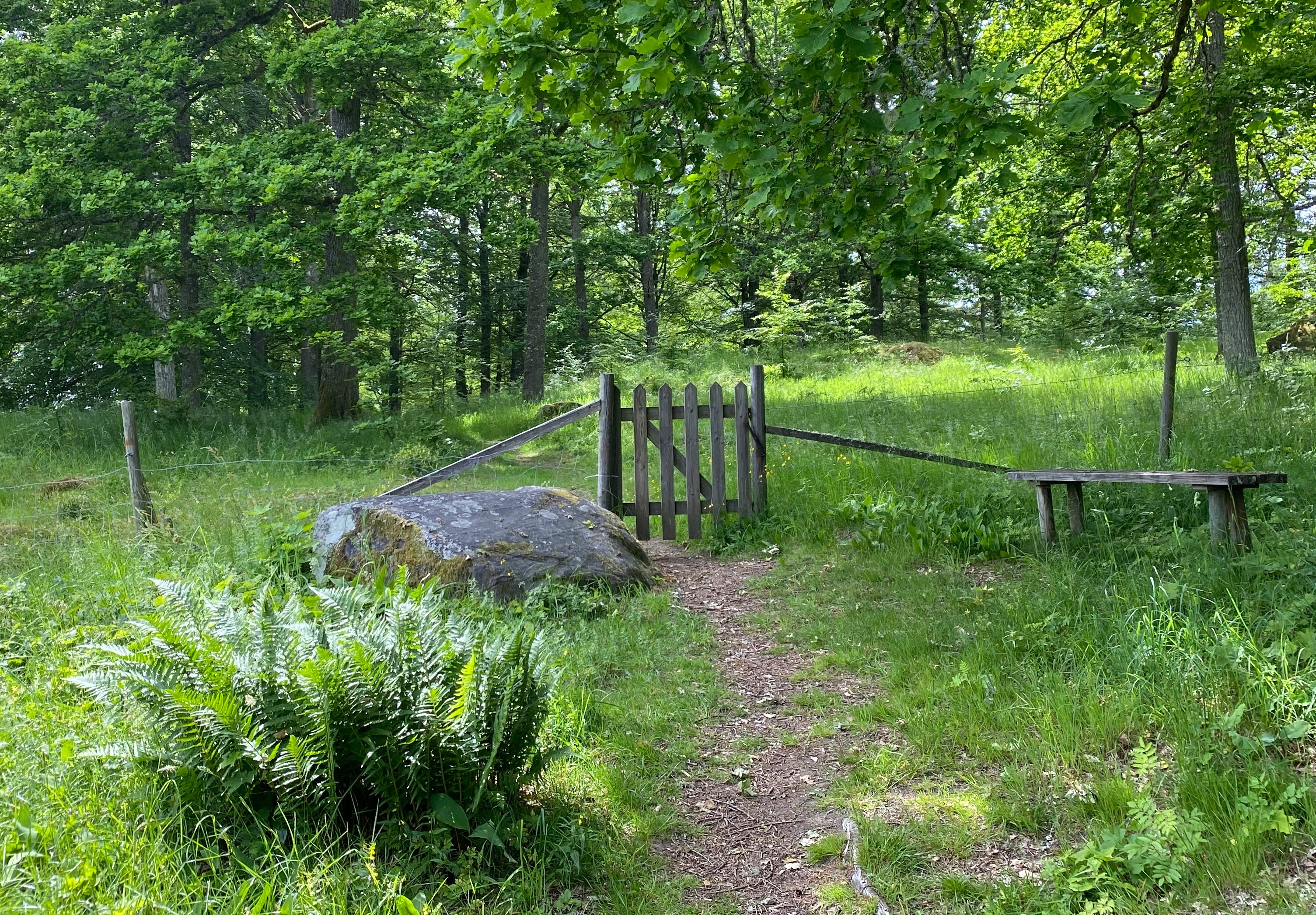 Grind in till hage i Od