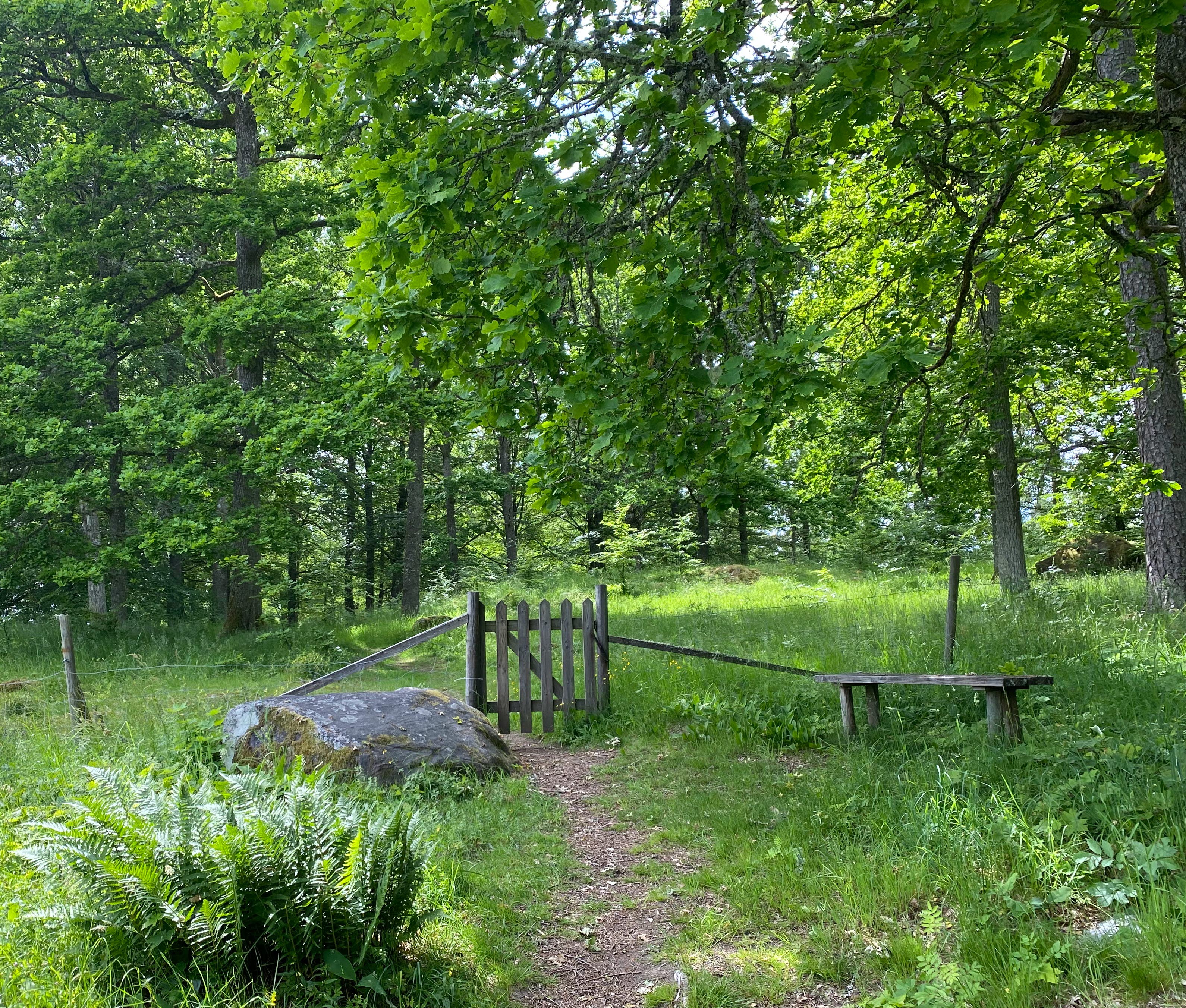 Grind in till hage i Od