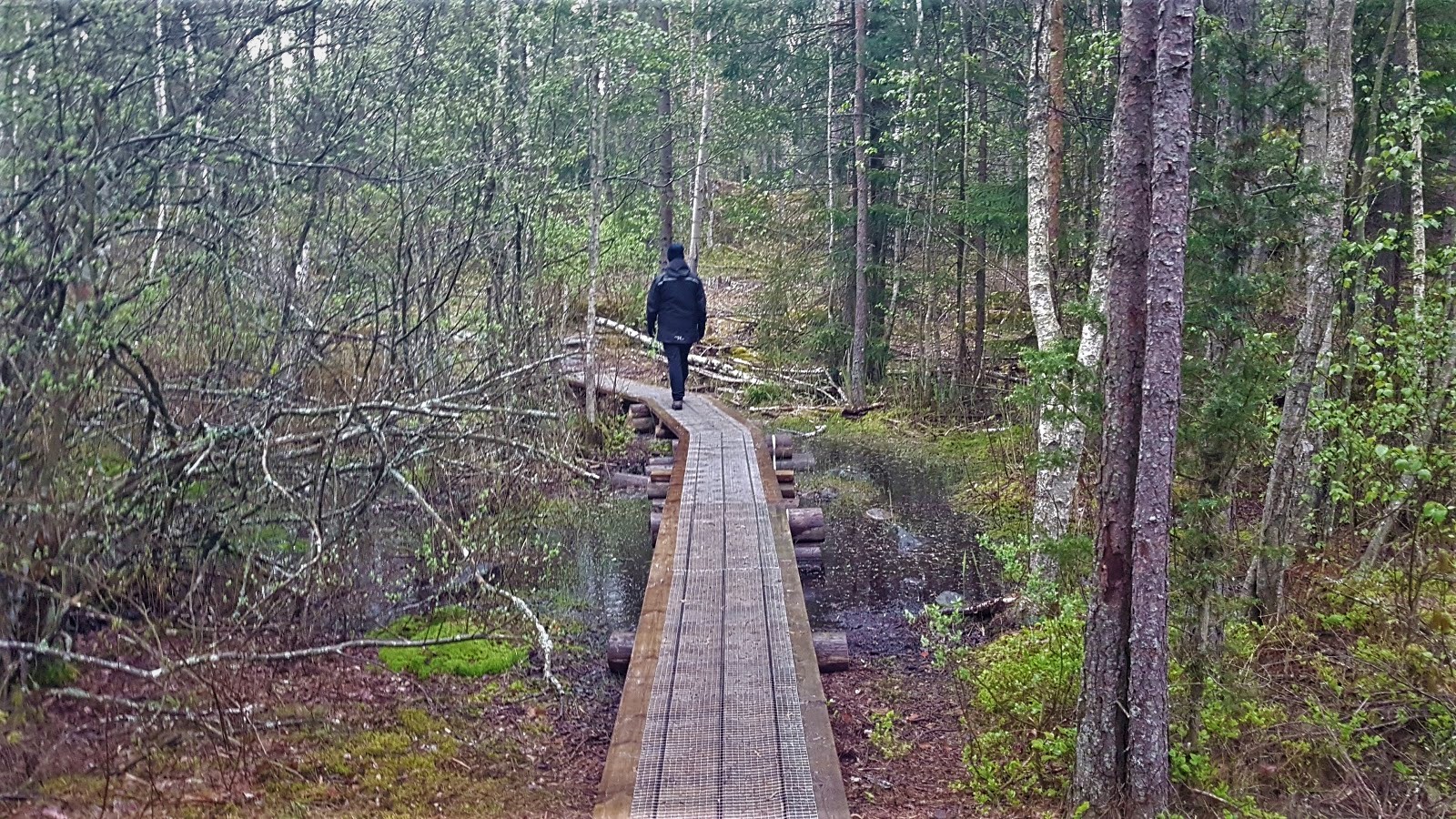 Vandrare på spång, Kärringleden, runt Jämnesjön