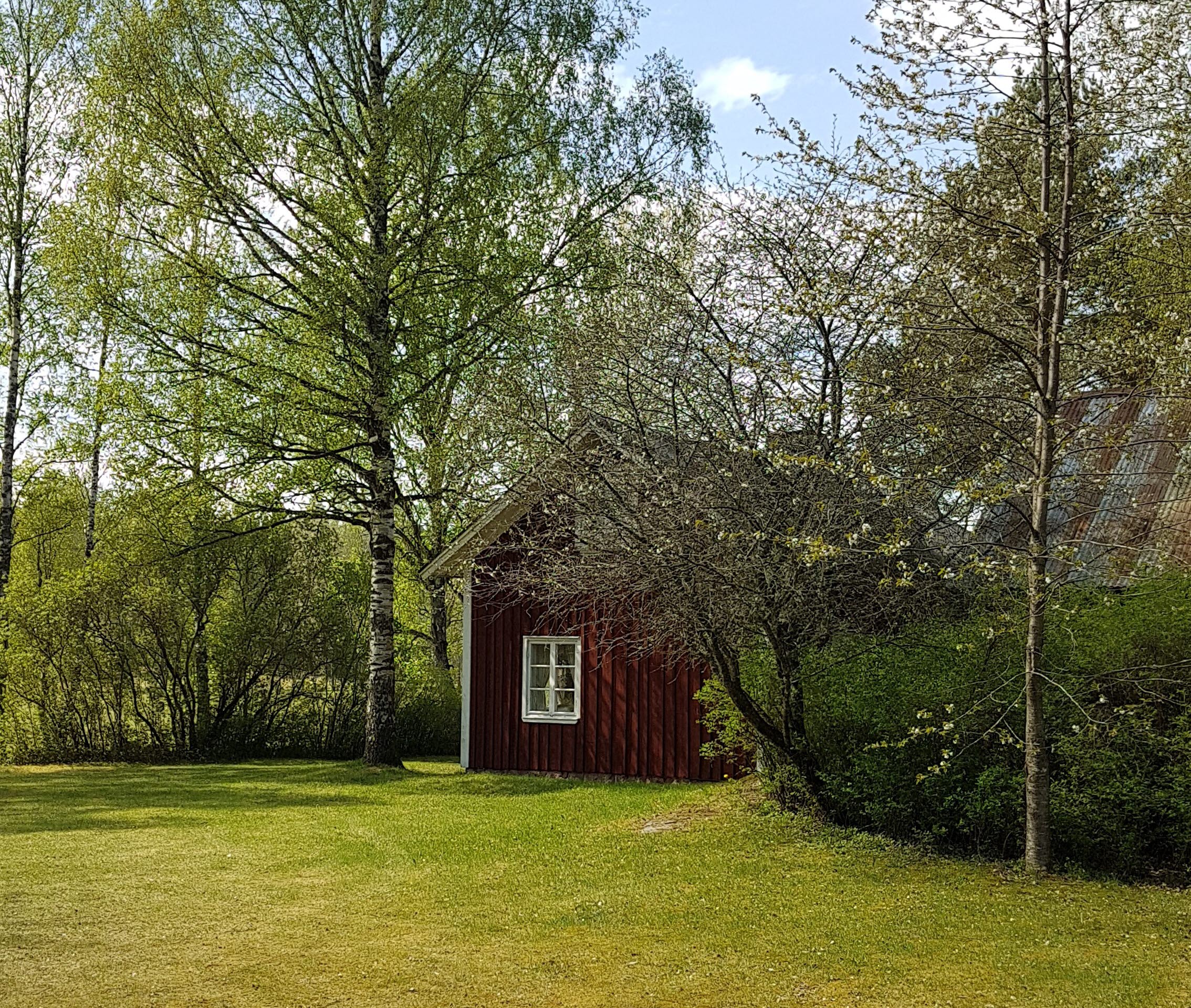 Cottage in springtime