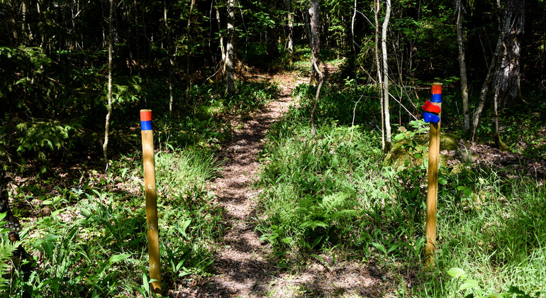Skattegårdsleden, Hov, Annelund