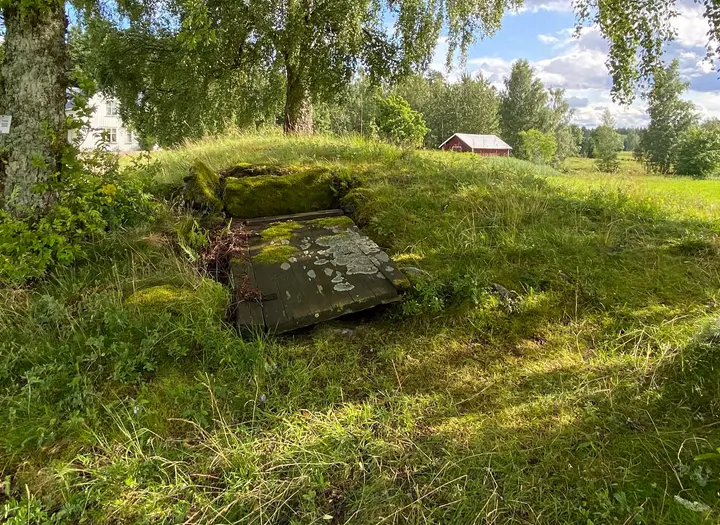 Skogsbo Hällkista