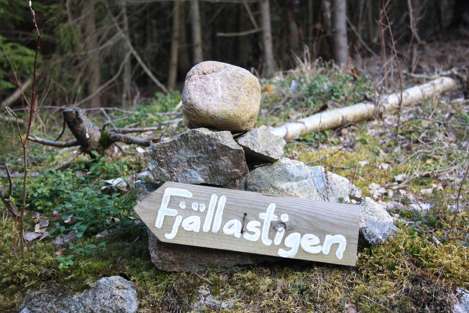 Fjällastigen