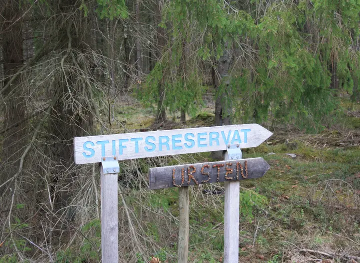 Urstensleden
