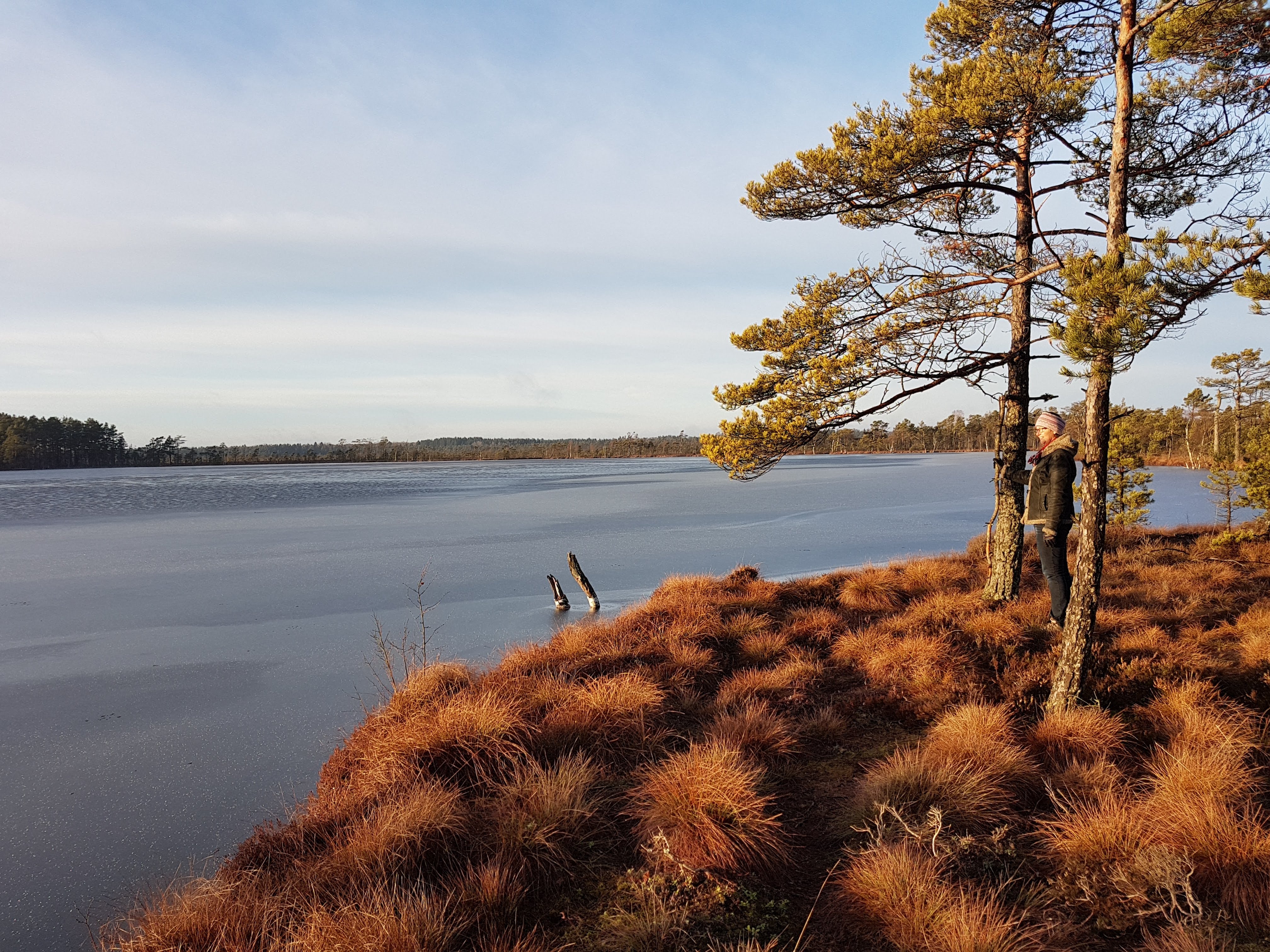 Svartesjö och Ramlamossen