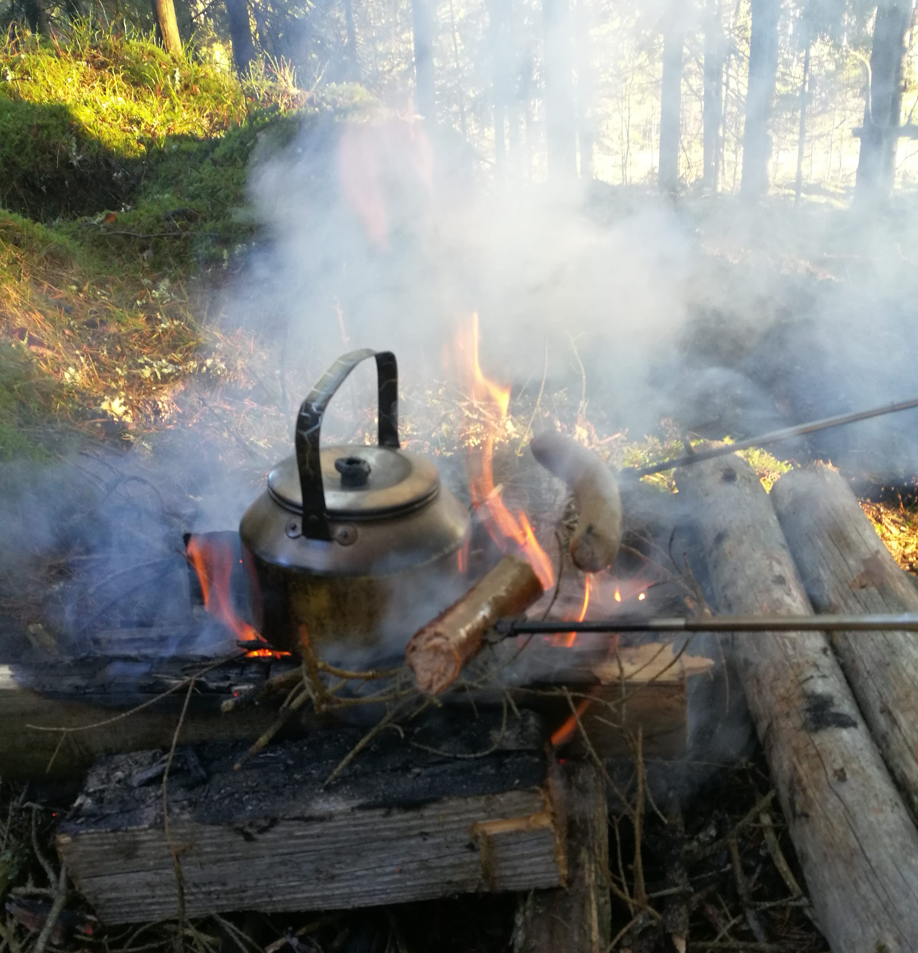 Galtholmen
Taste the Countryside - Affärsgatan mitt i grönskan
tastethecountryside.se