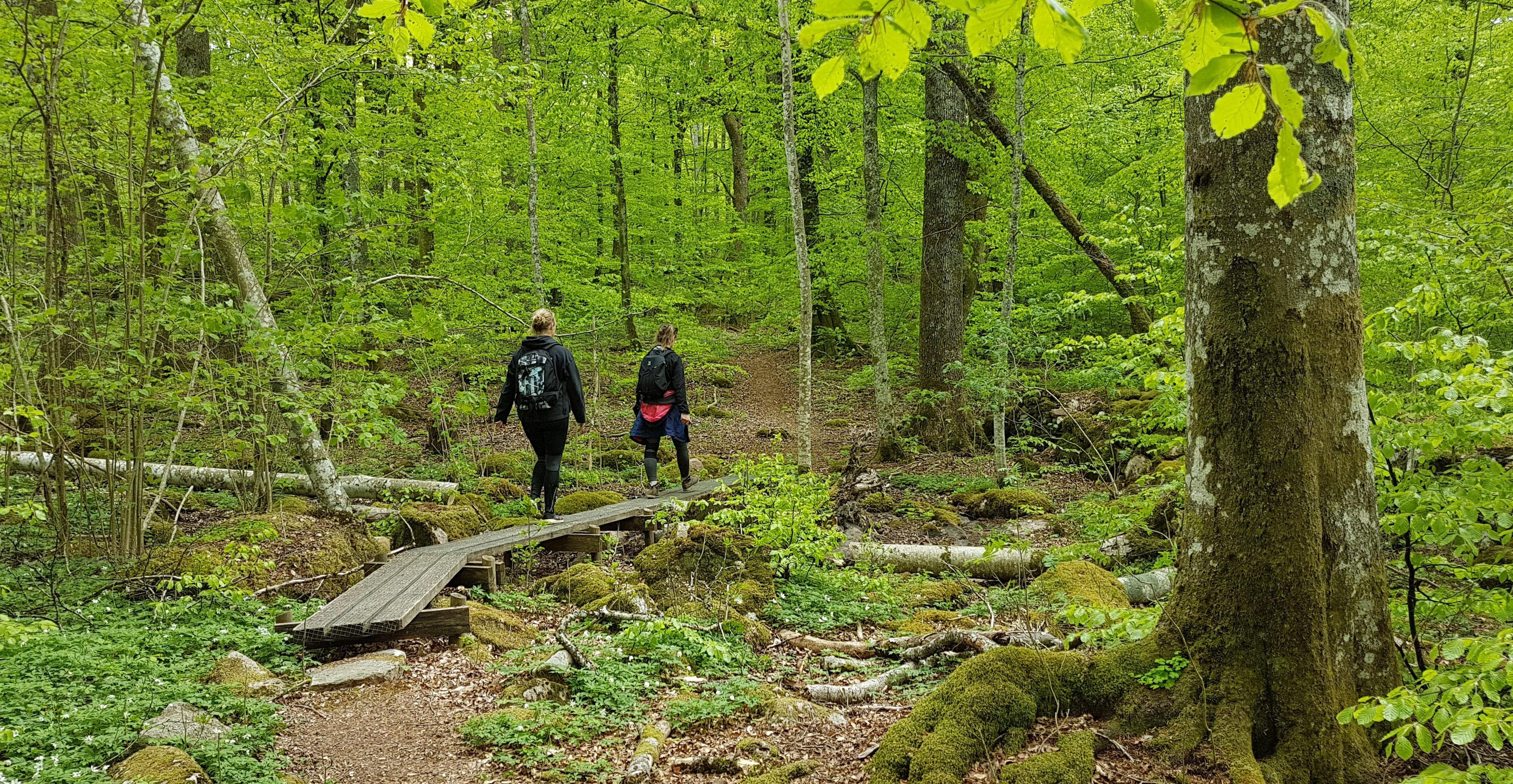 Vandrare utmed Hultleden