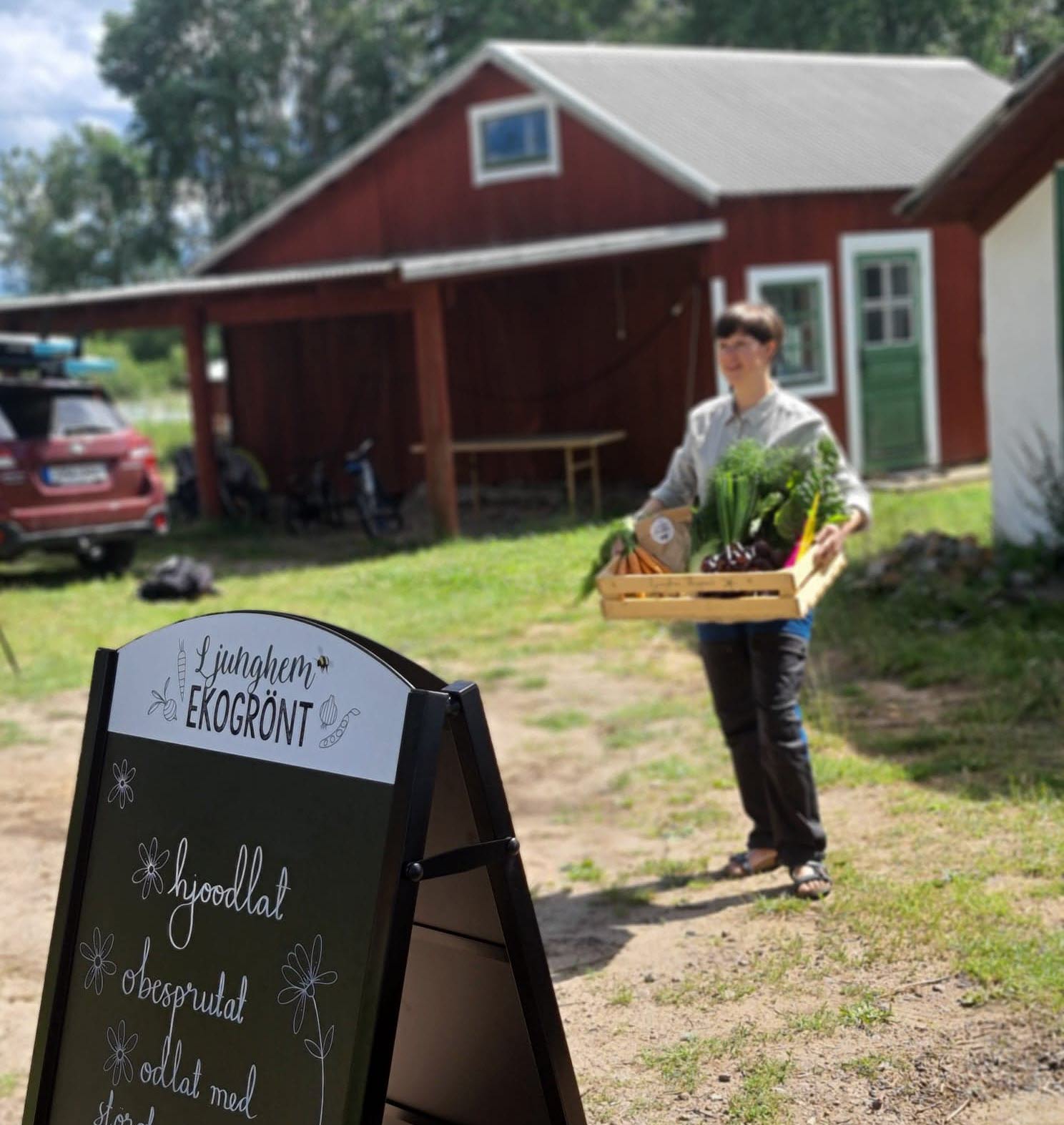 Lokal odlare i Hjo med en korg med grönsaker utanför sin gårdsbutik. 