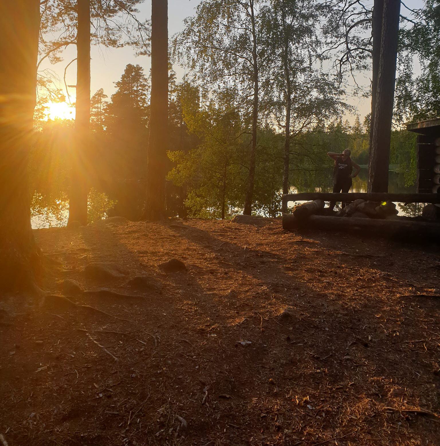 Lingonudden Vindskydd