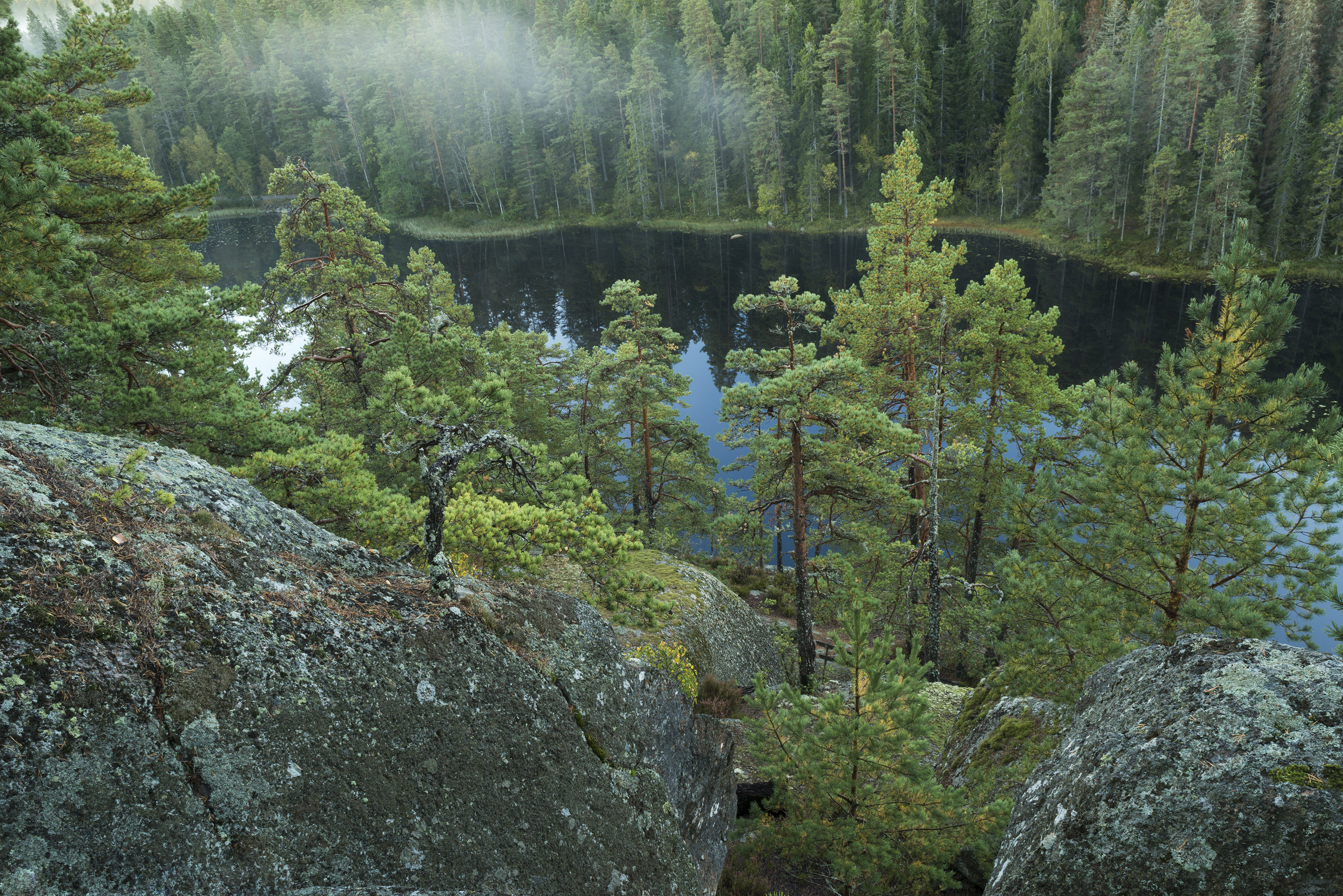 Tivedens Nationalpark