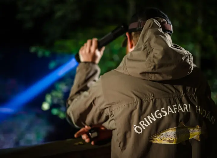 Öringsafari - bokningsbara turer