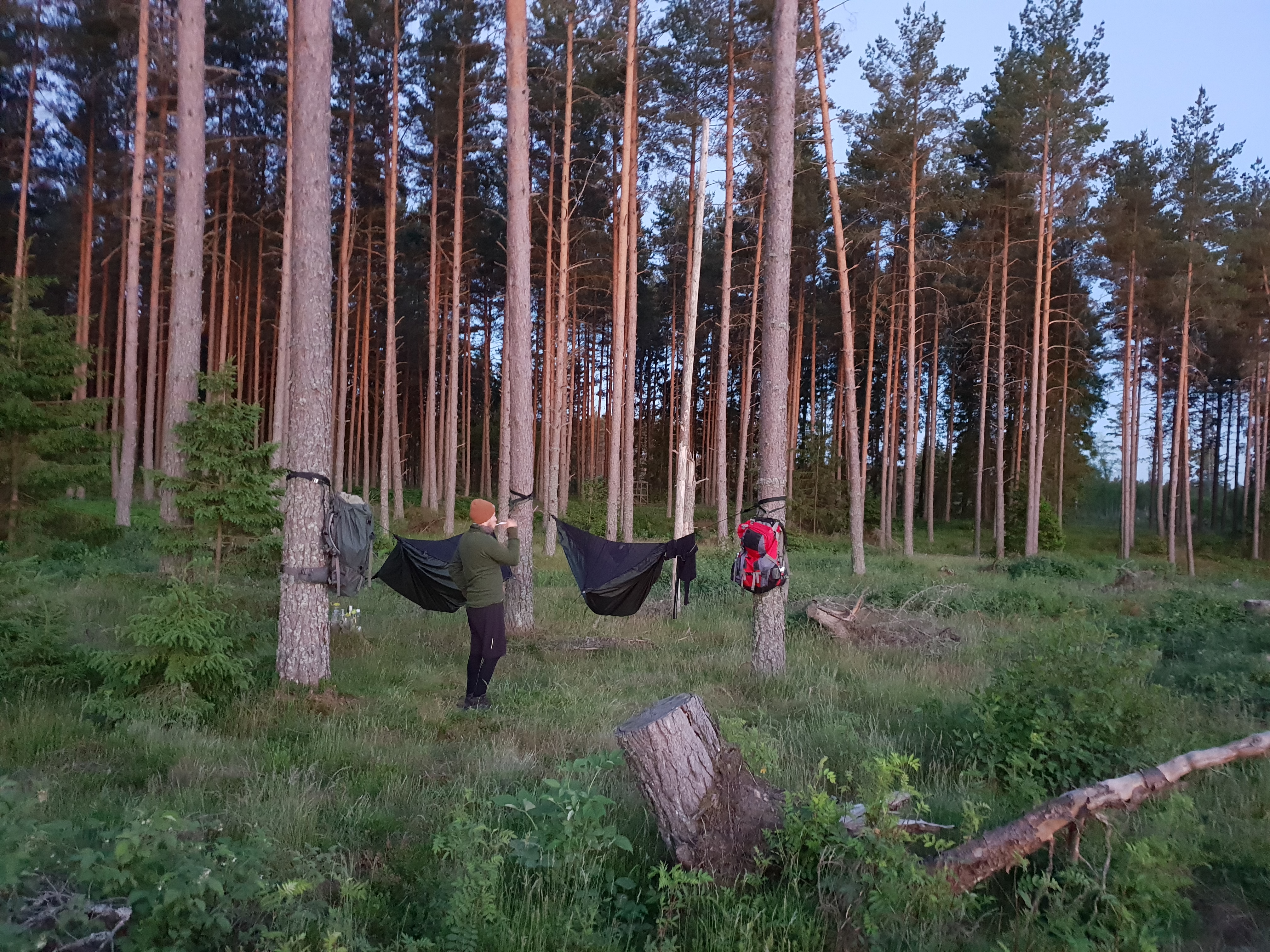 Pilgrimsleden Hjo-Kungslena