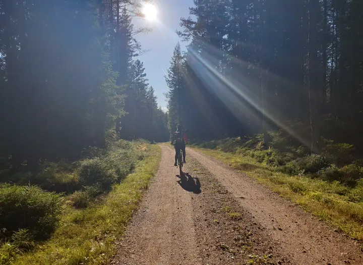 Rundtursförslag - Skogsrundan
