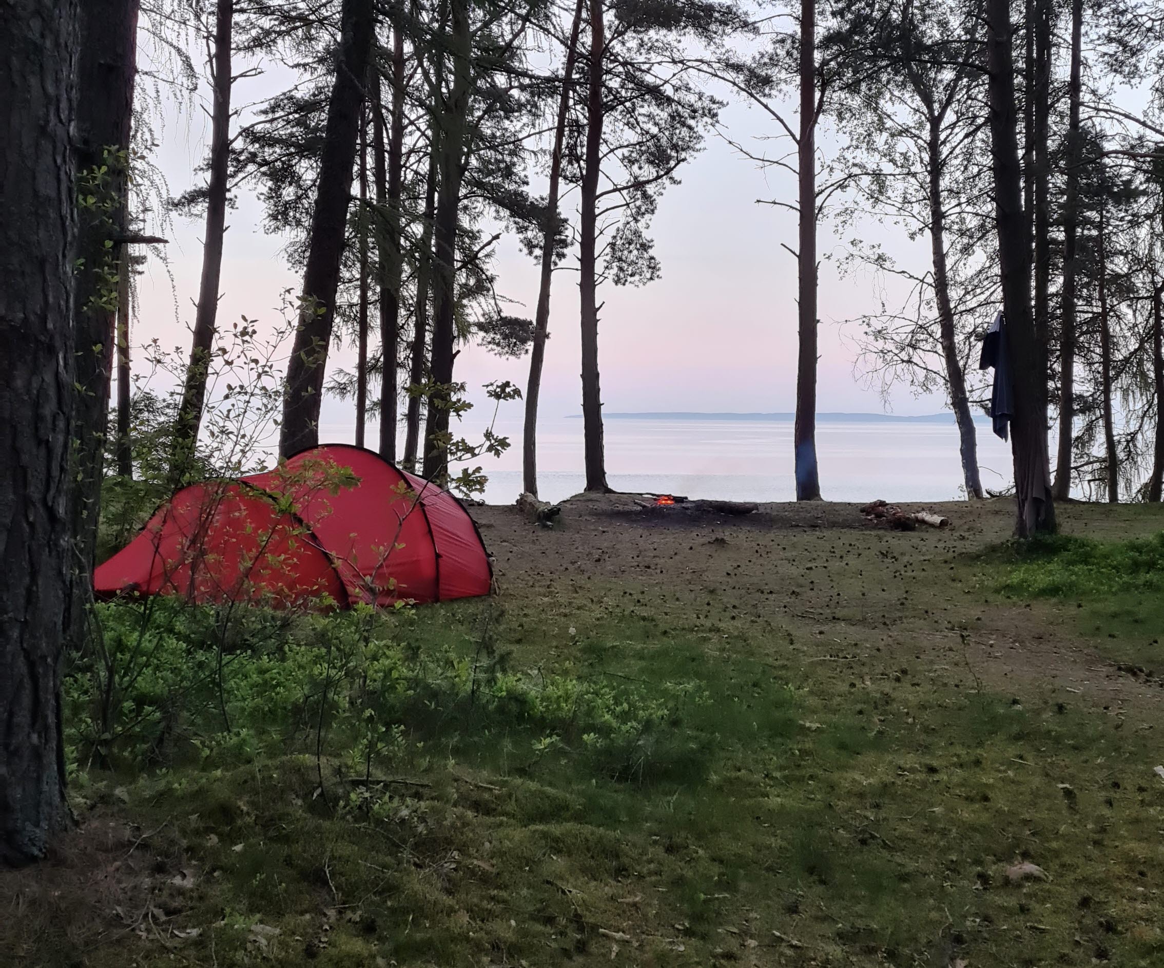 Tälta i skogarna runt Hjo.