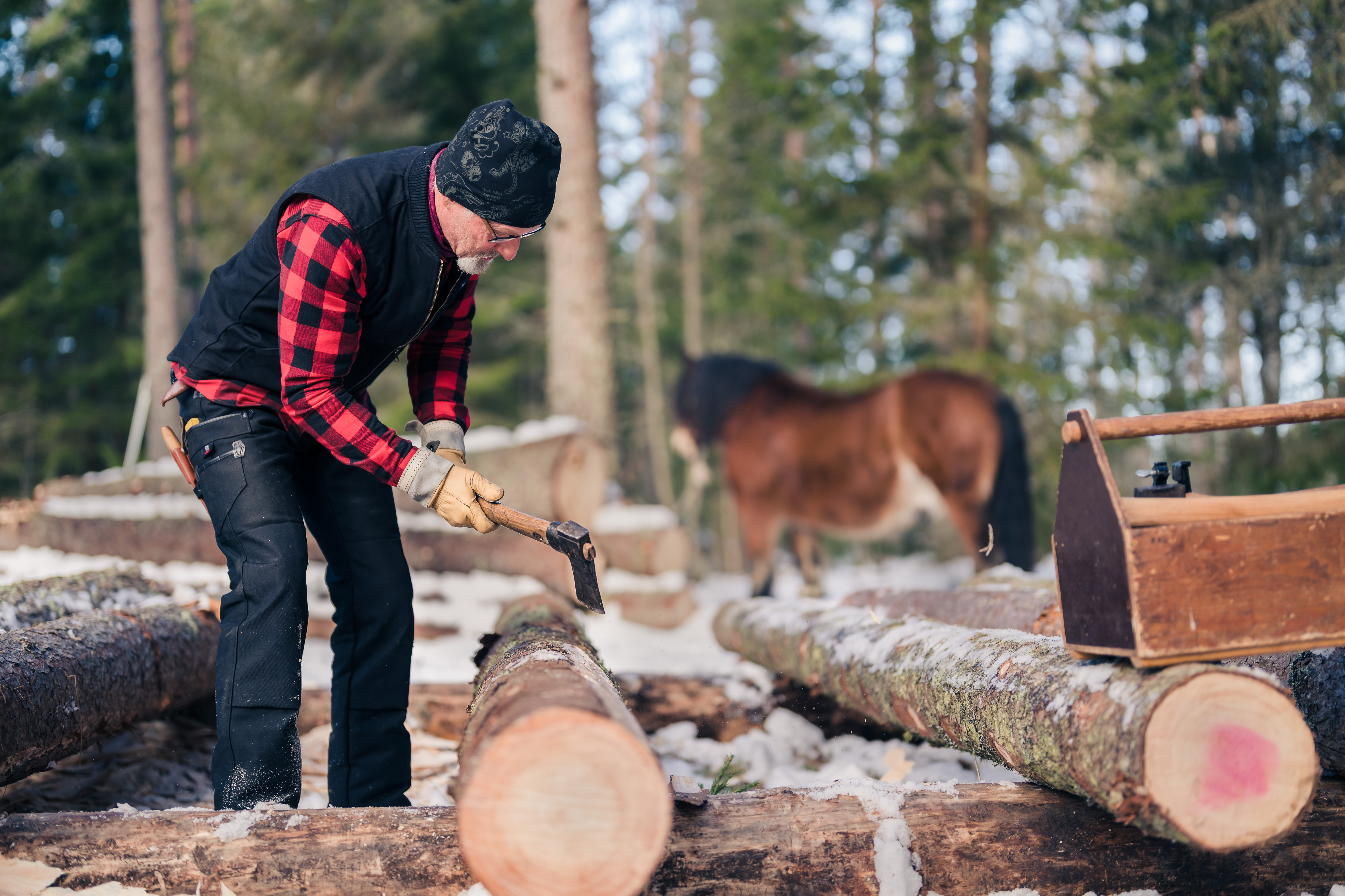 Man i skogen och hugger timmer. 