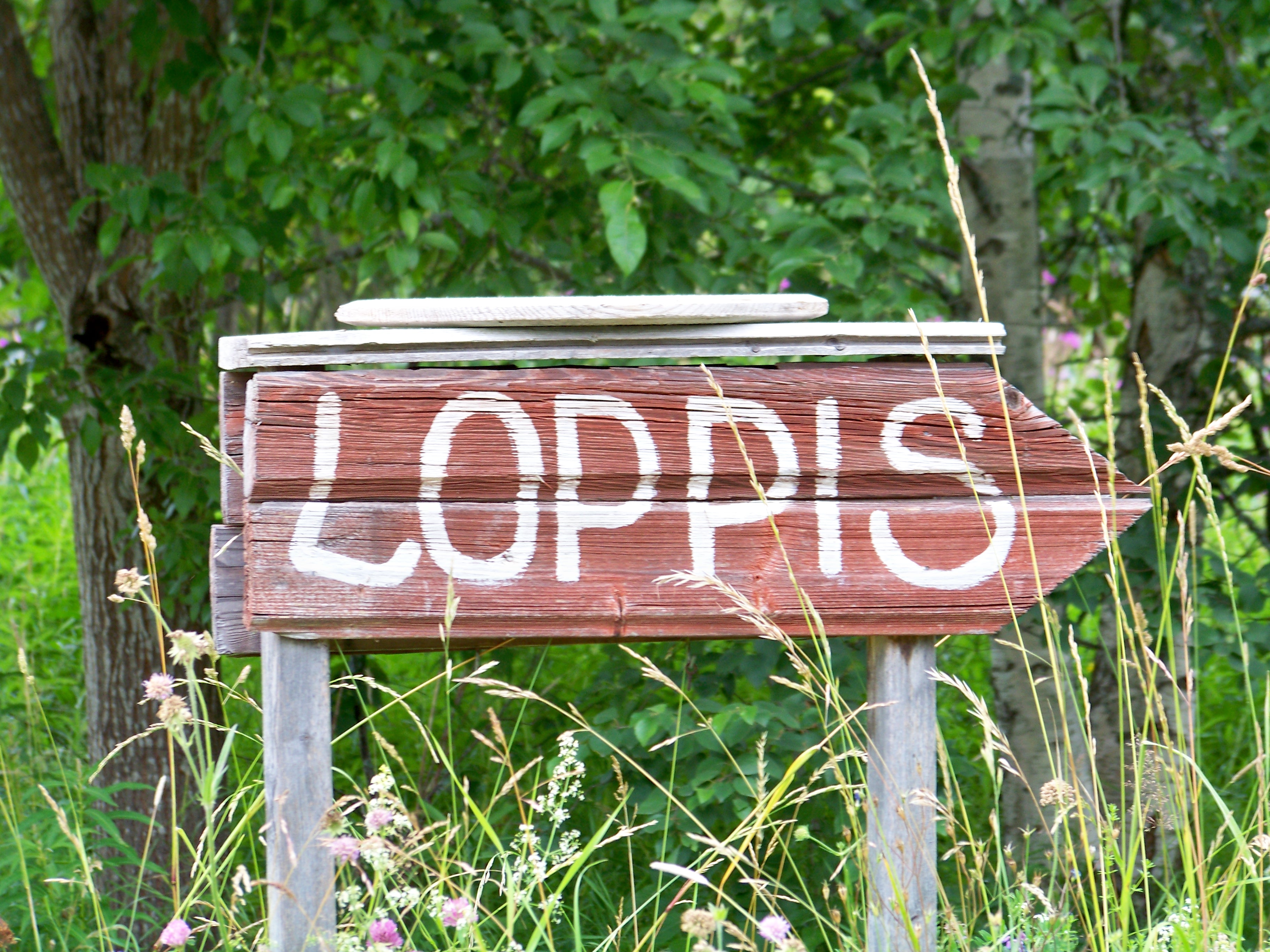 Loppisen I Korsgården