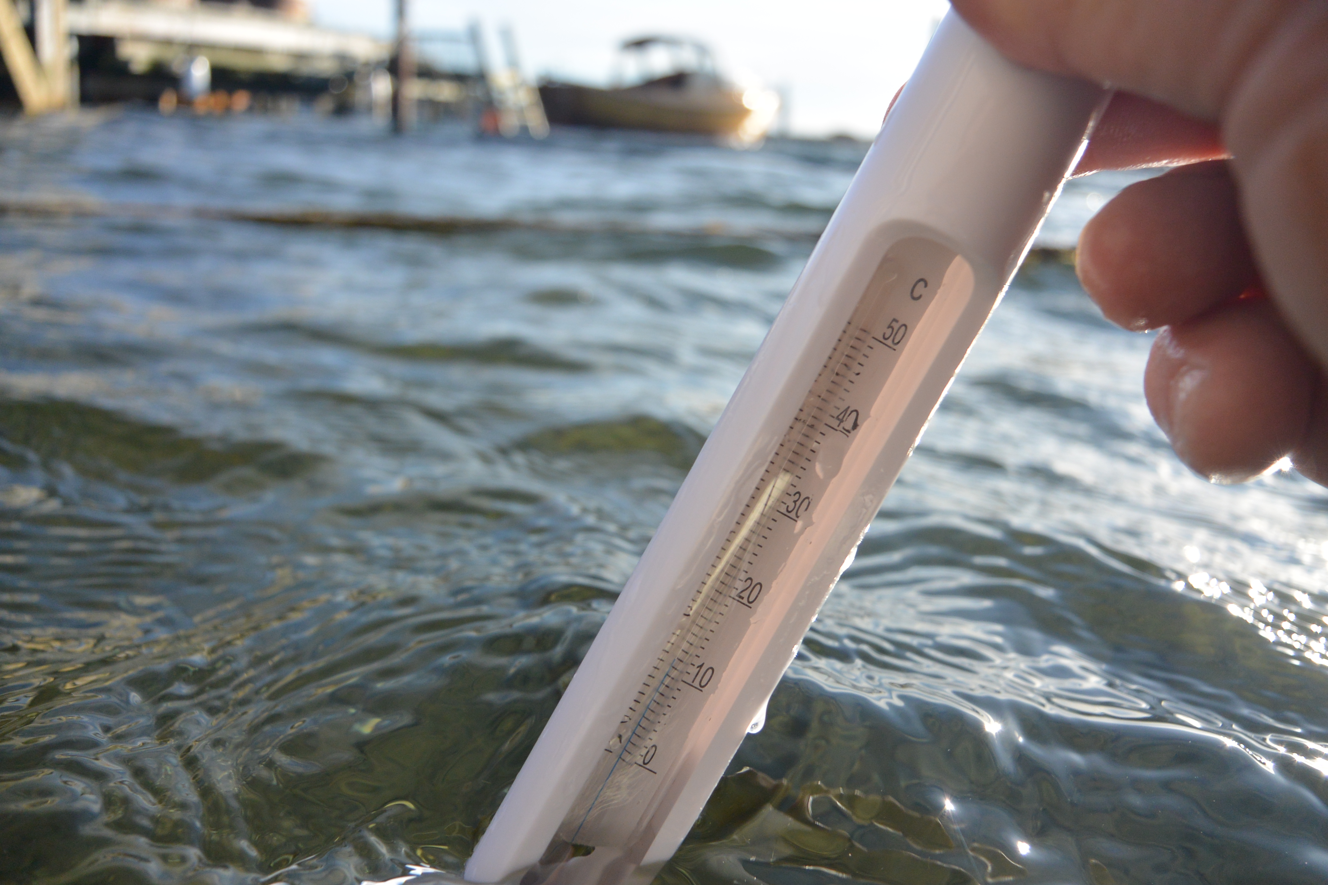 Termometer i vattnet. 