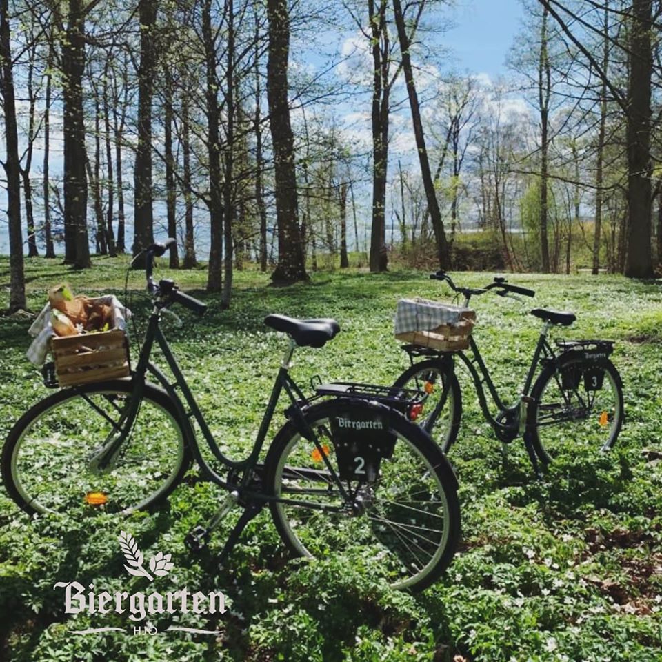 Cyklar i Hjo Stadspark