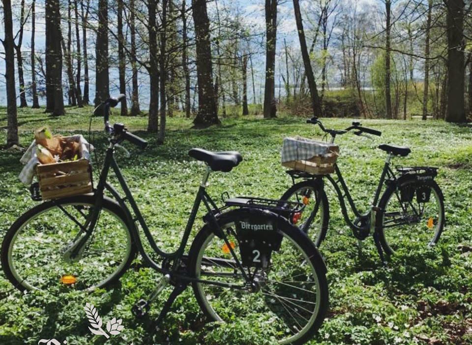 Cyklar i Hjo Stadspark