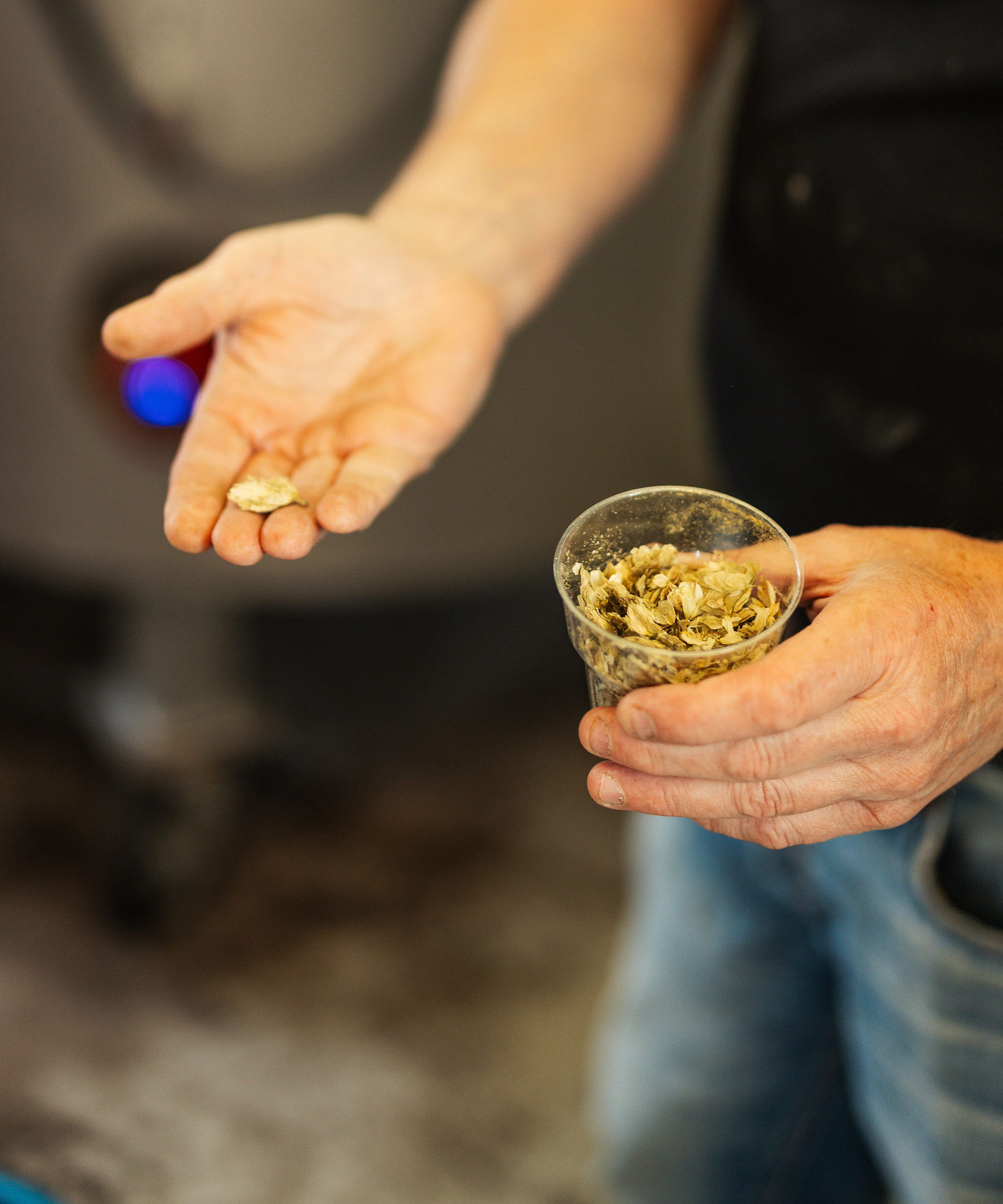 En grupp personer upplever Hjo och besöker ett lokalt bryggeri