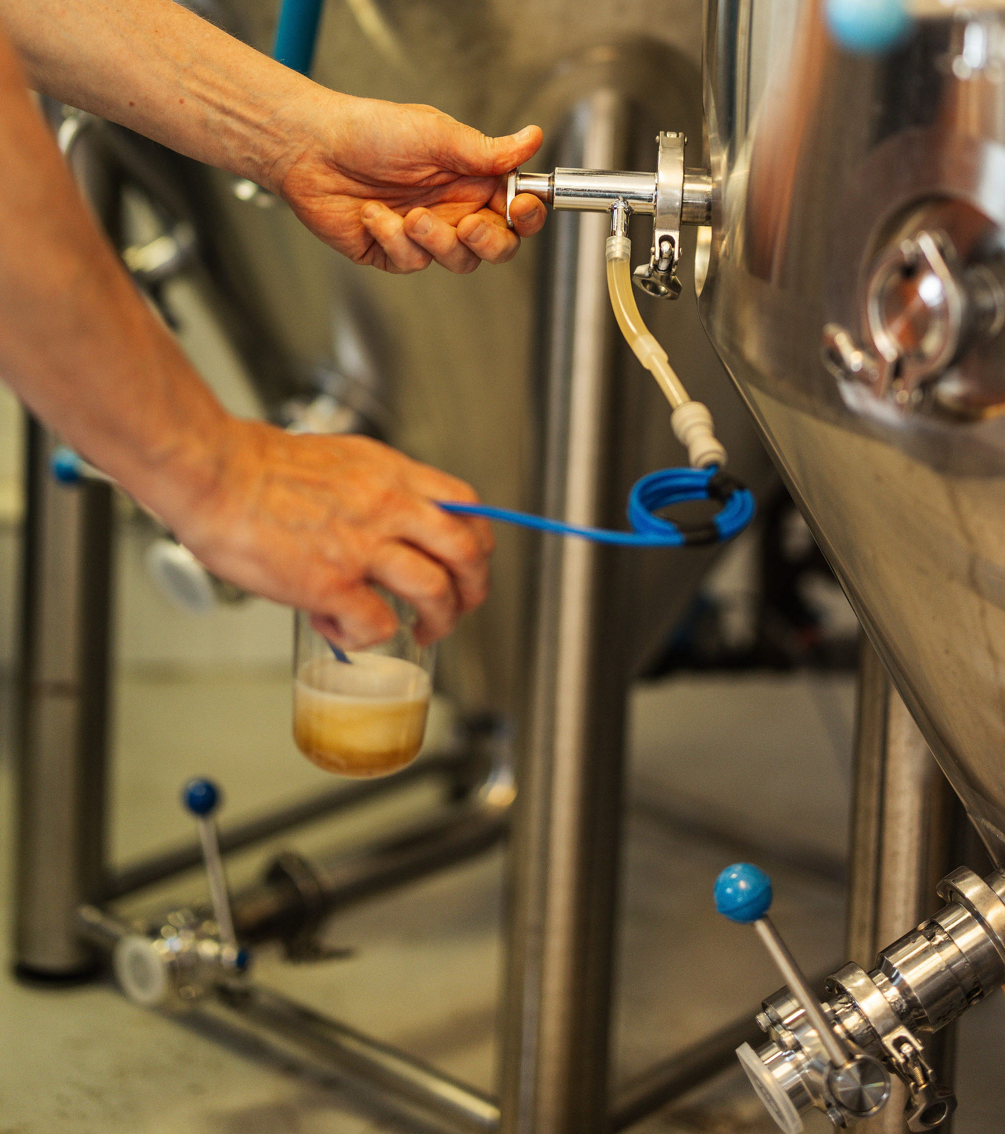 En grupp personer upplever Hjo och besöker ett lokalt bryggeri