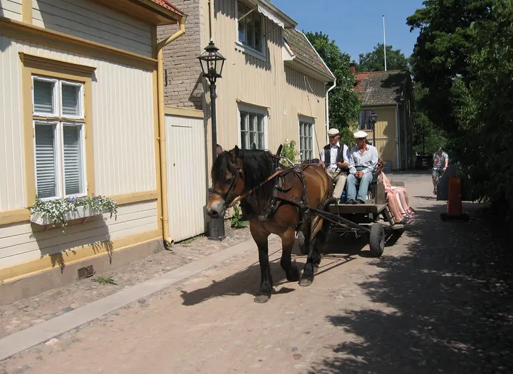 Turer med häst och vagn