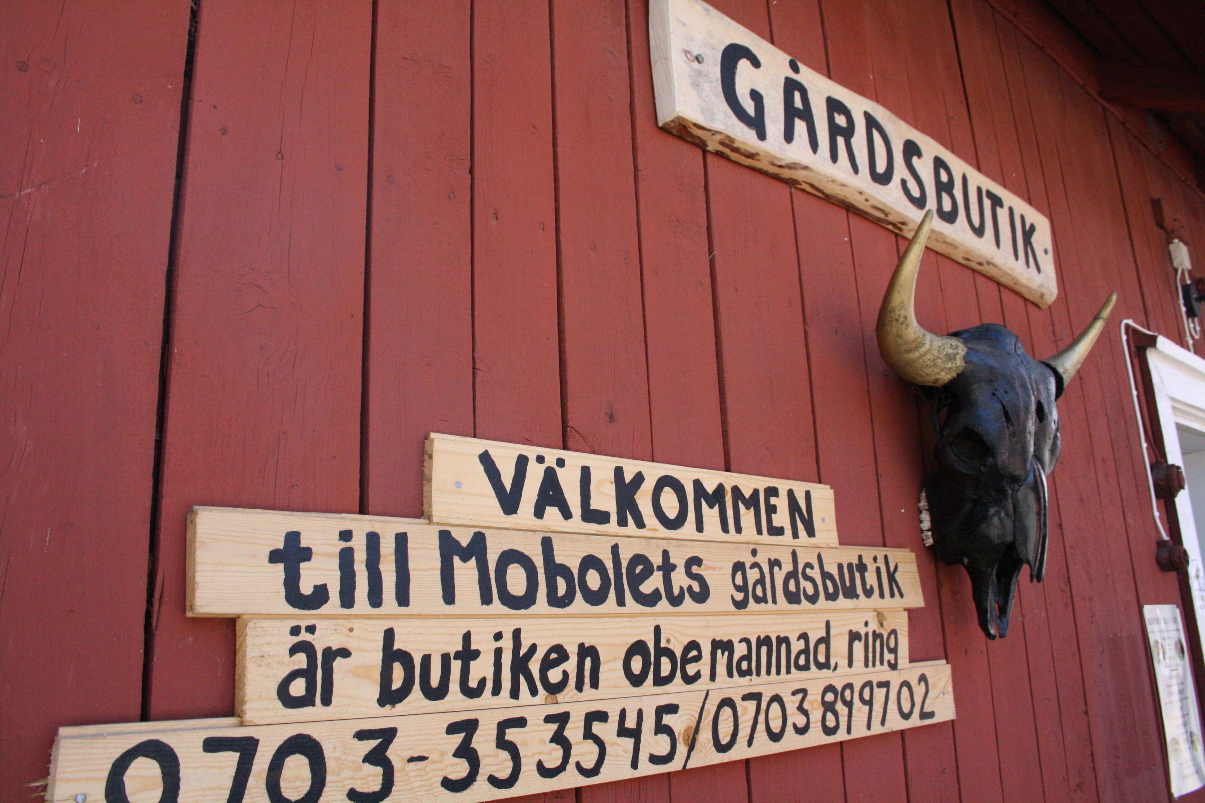 Gårdsbutik bisonfarm