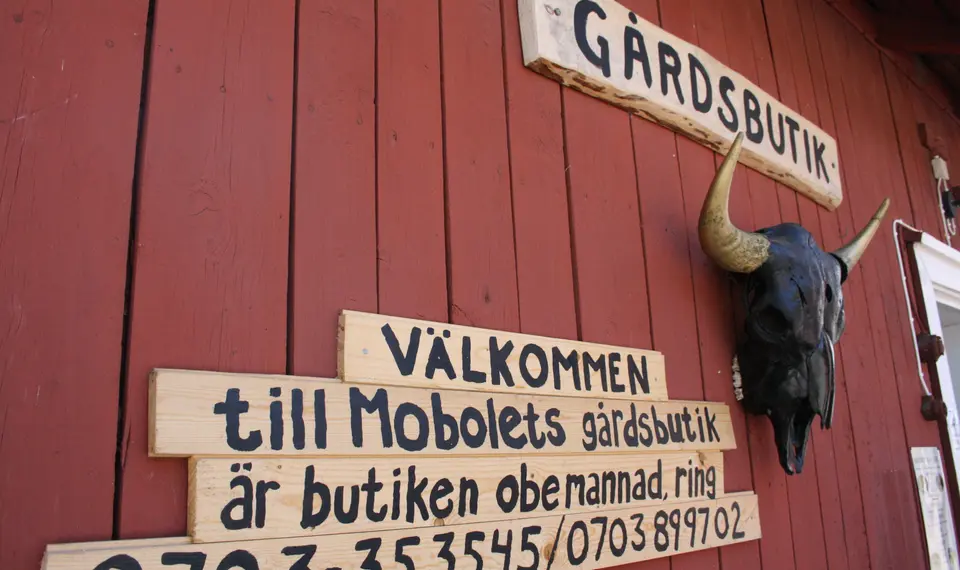 Gårdsbutik bisonfarm