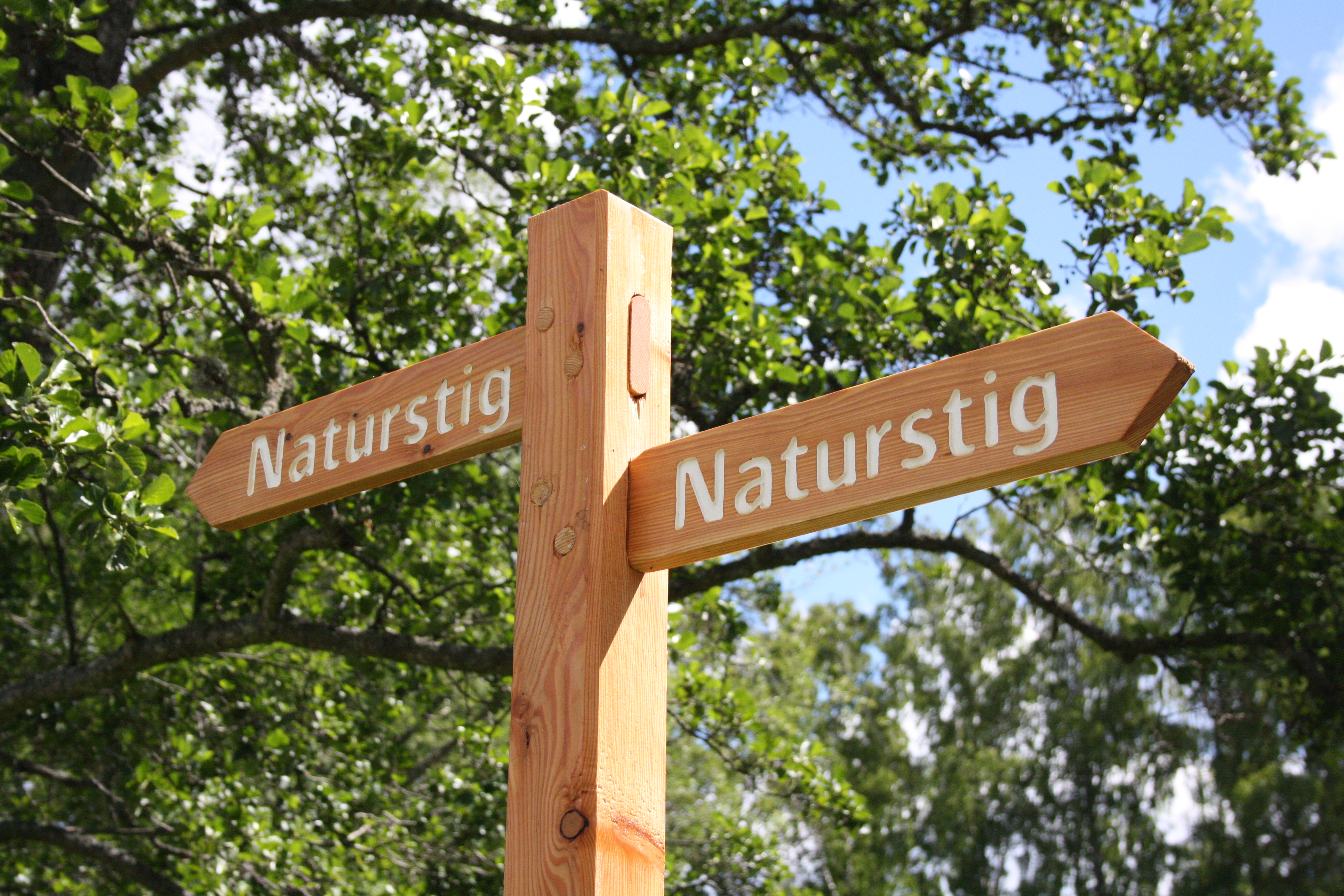 Naturstigen längs med Naturreservatet Hjoåns Dalgång, Hjo.