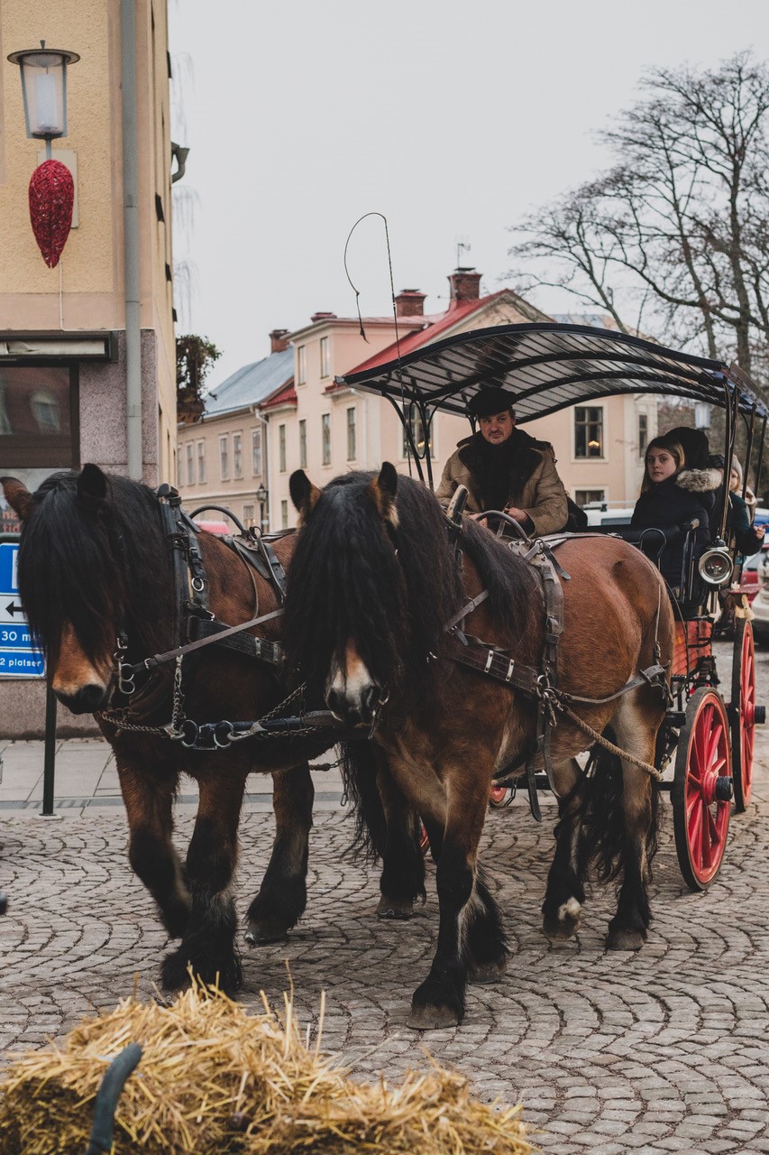 Häst och vagn. 