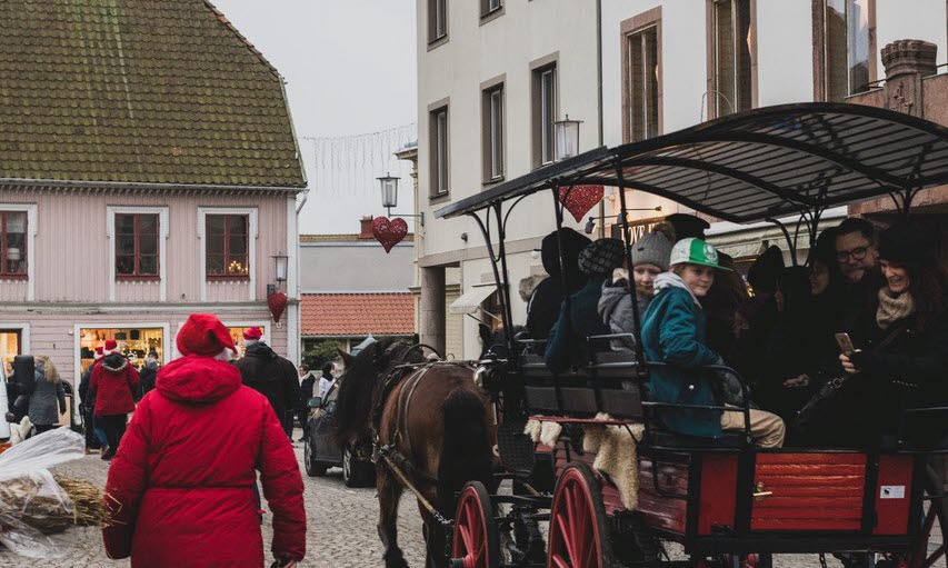 häst med vagn med folk i och en kvinna går bredvid i en röd jacka med en hund. 