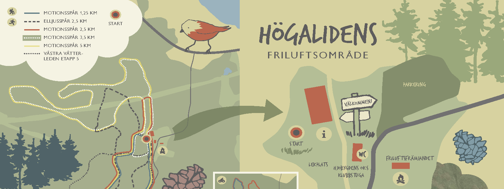 En illustrerad karta över Högalidens friluftsområde. Den vänstra delen visar motionsspår och vandringsleder, den högra visar en förstoring av startområdet med markeringar för lekplats, pulkabacke, grillplats med mera. Kartan har mestadels olika nyanser av grönt.