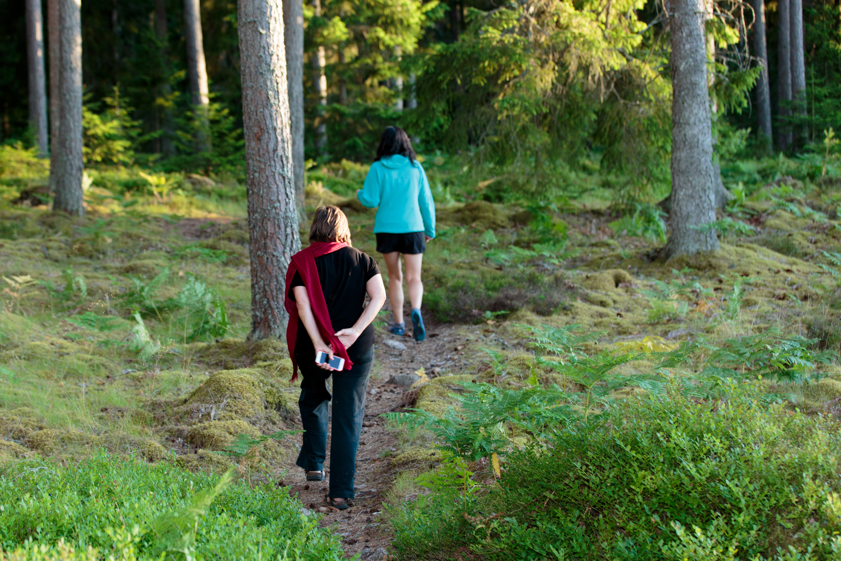 Skogig stuga vid sjön Mullsjön, Hjo