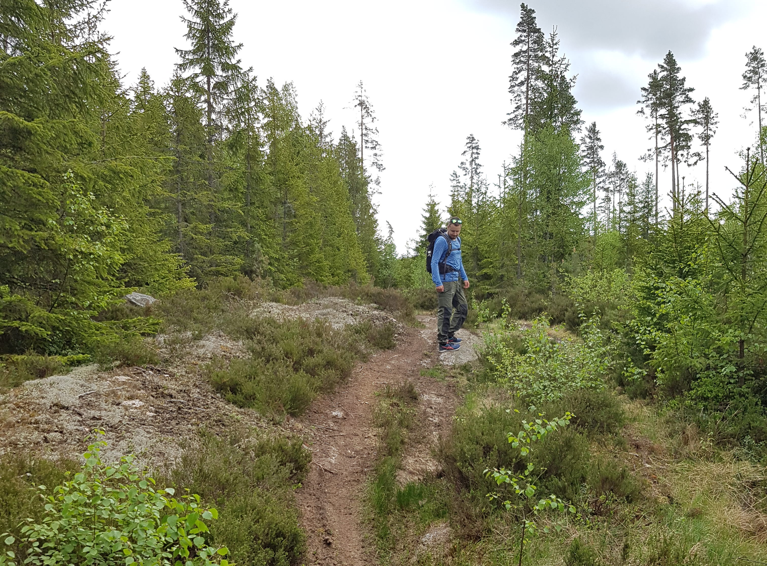 A guy hikes along the trail Västra Vätterleden, Hjo, Sweden.