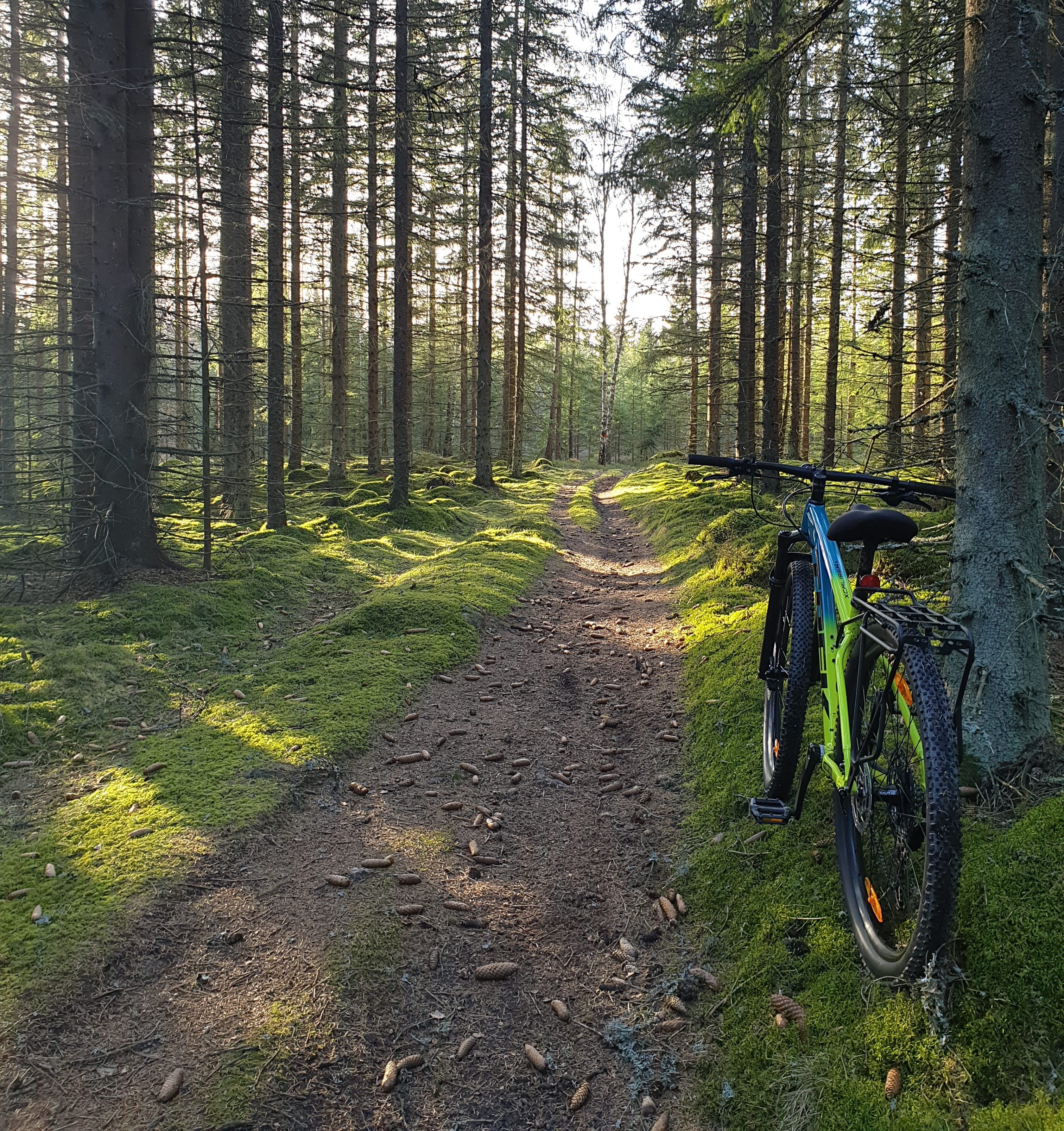 Mountainbike vid Högaliden