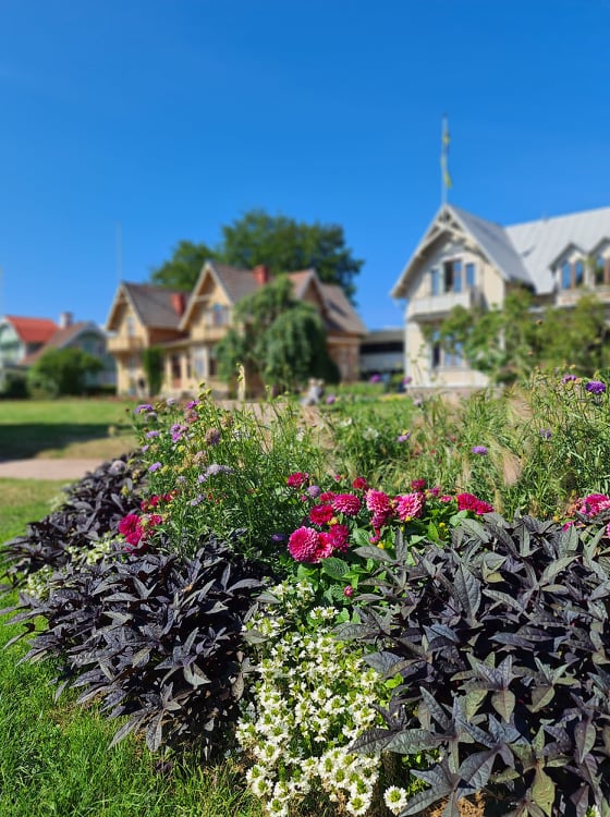 Rabatt i Hjo Stadspark.