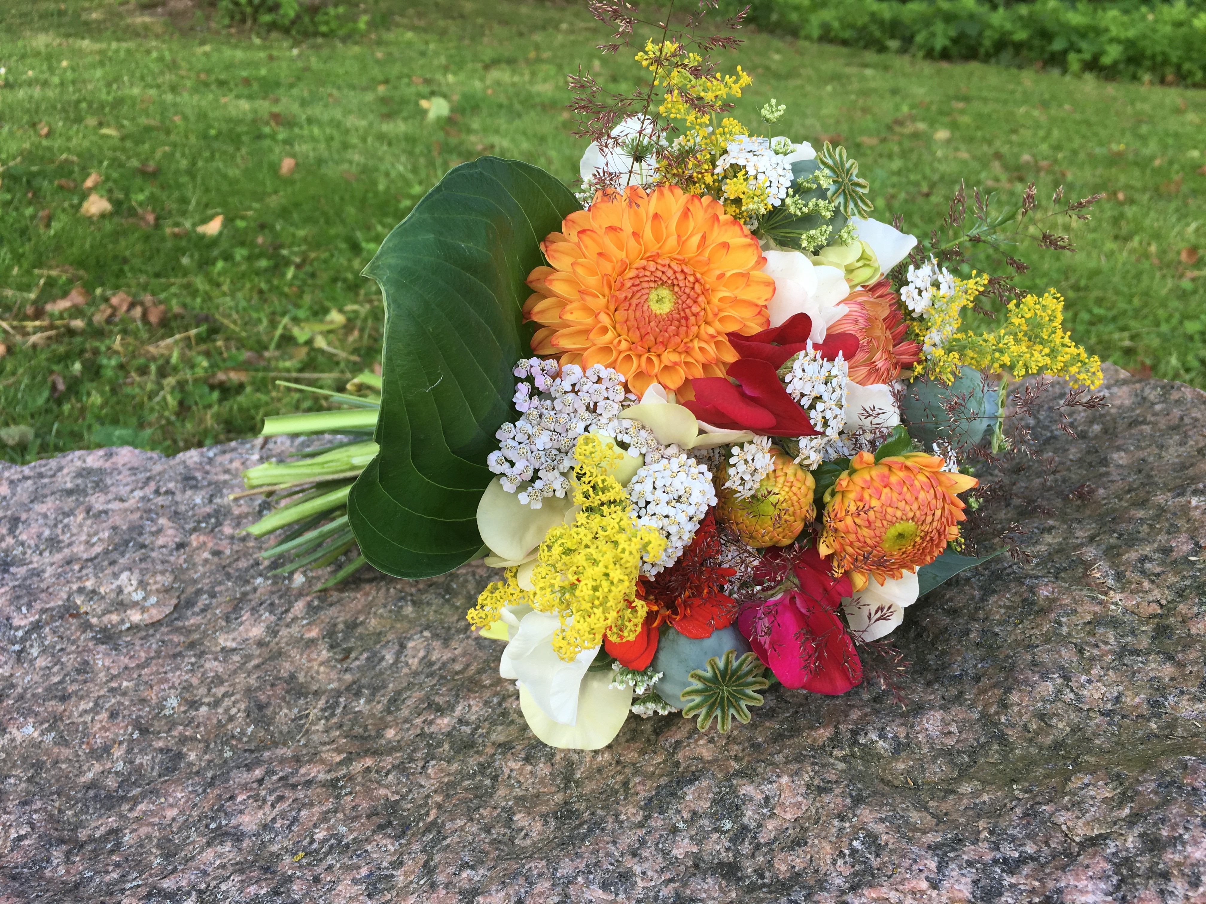 Sänneryd Trädgård