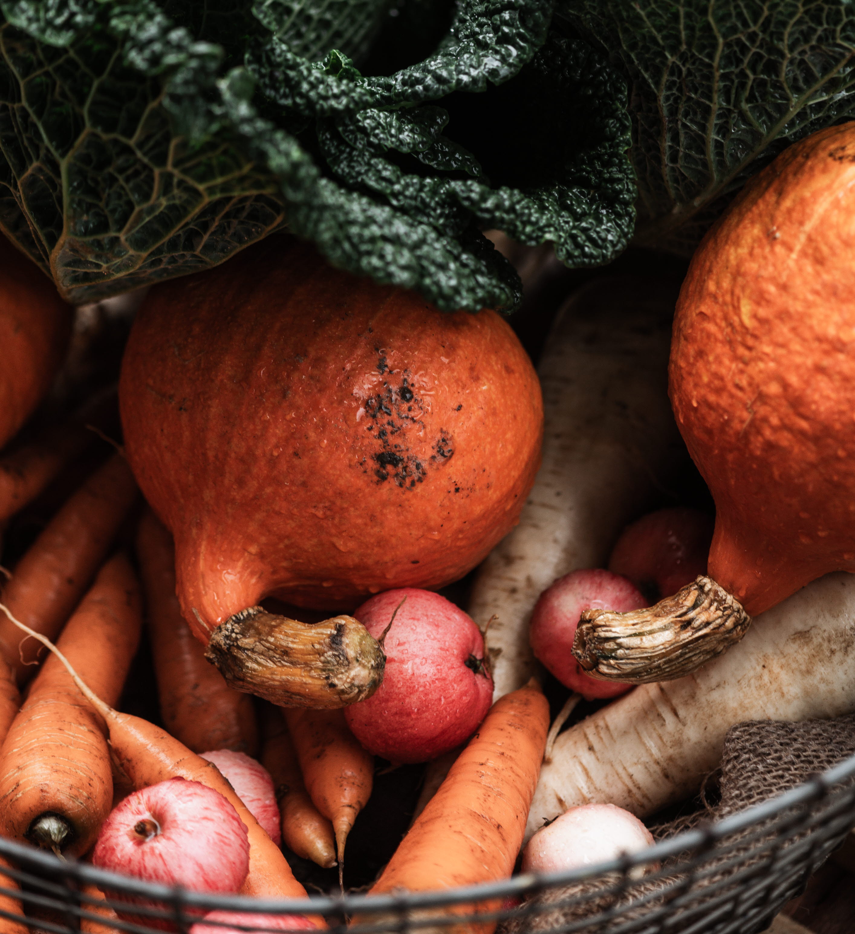 Kale, apples, cheese dishes and pumpkins in a basket.